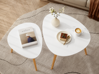 Table basse gigogne ovale blanche et bois scandinave – 2 tables 3