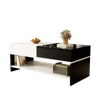 Table basse rectangulaire noire et blanche design avec rangements – Tiroir & compartiments